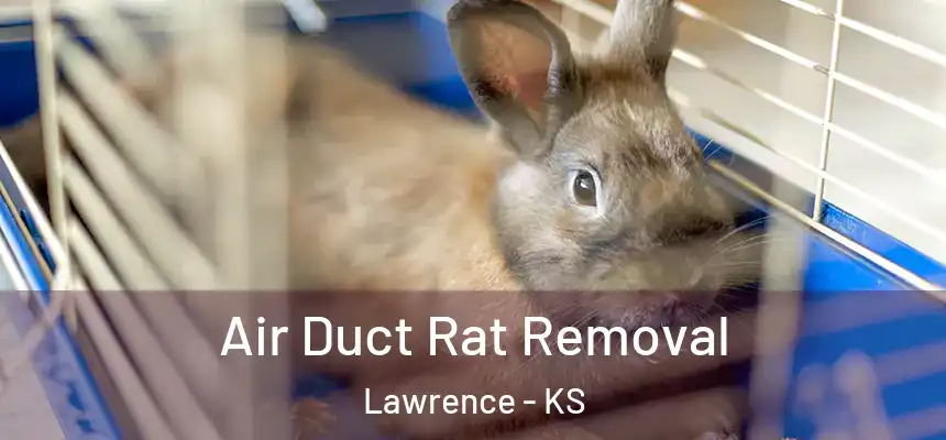 Air Duct Rat Removal Lawrence - KS