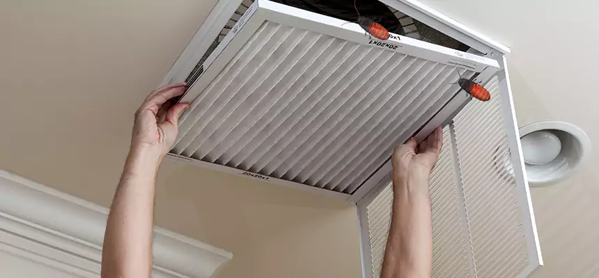 Preventive Cockroach-Proofing for Ducts in Lawrence