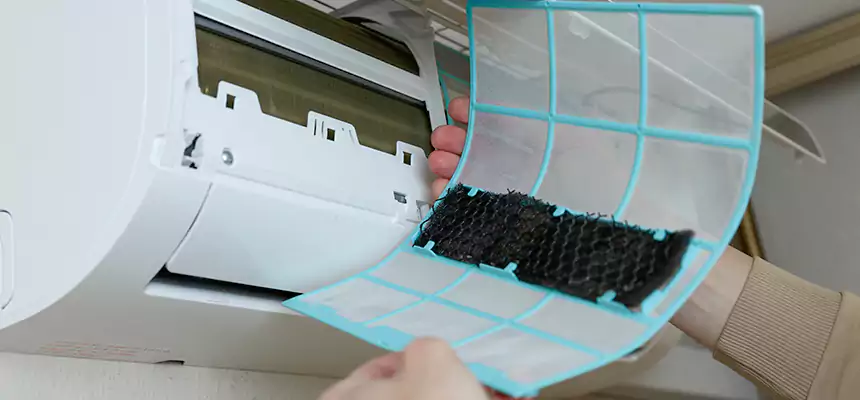 Gentle Ductwork Odor-Control Pet Dander Duct Cleaning in Lawrence, KS