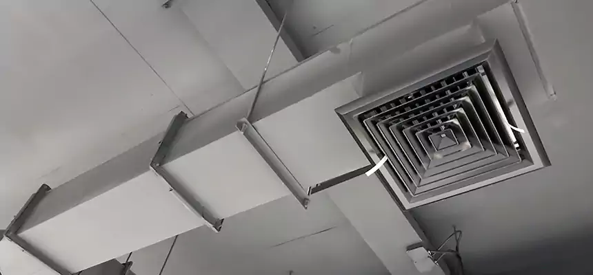 Our Rodent Droppings In Vents Services in Lawrence, KS