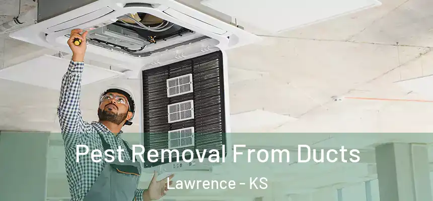 Pest Removal From Ducts Lawrence - KS
