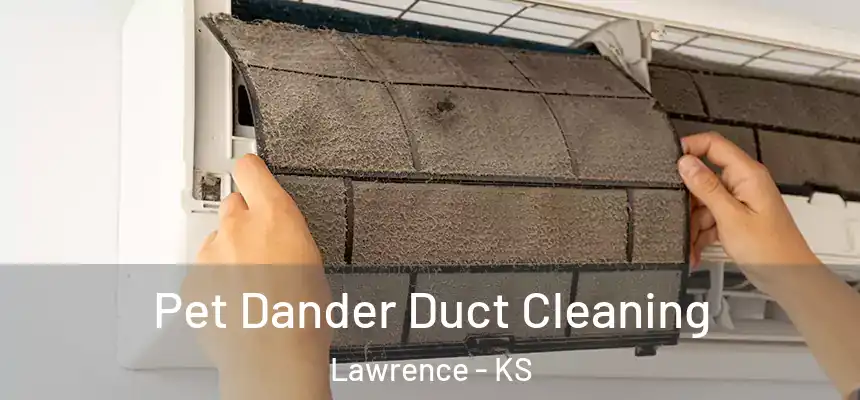 Pet Dander Duct Cleaning Lawrence - KS