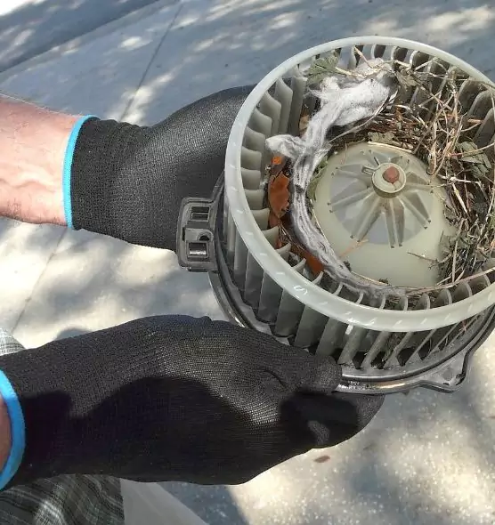 About Air Duct Rat Removal in Lawrence, KS