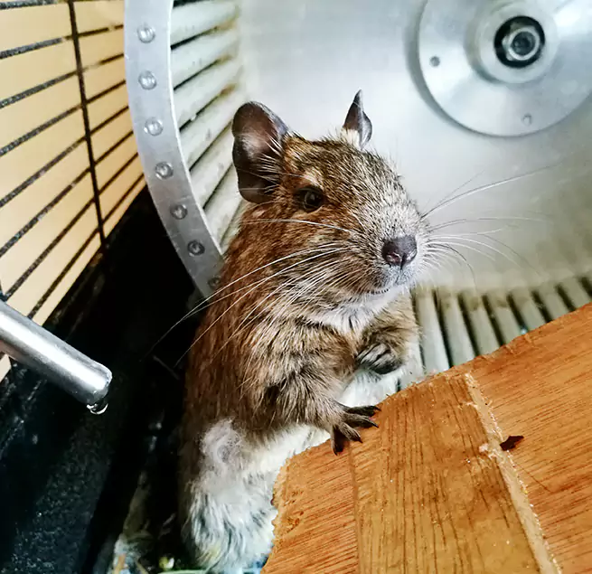 Why Homeowners & Businesses Trust Us Lawrence, KS?